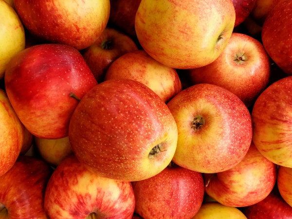 Apple Exporter from India