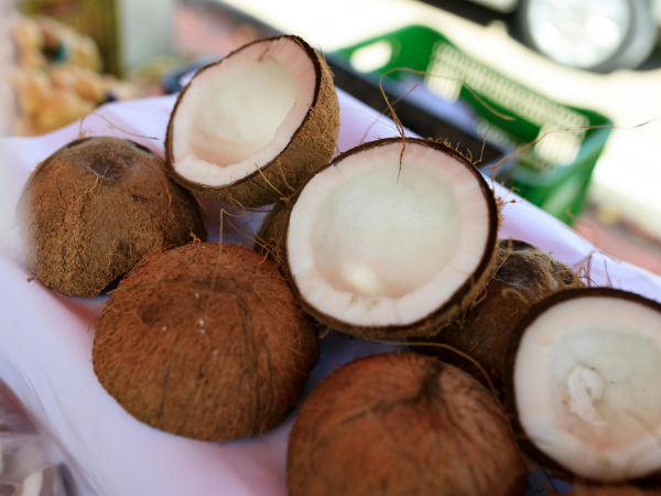 Semi Husked Coconut Export