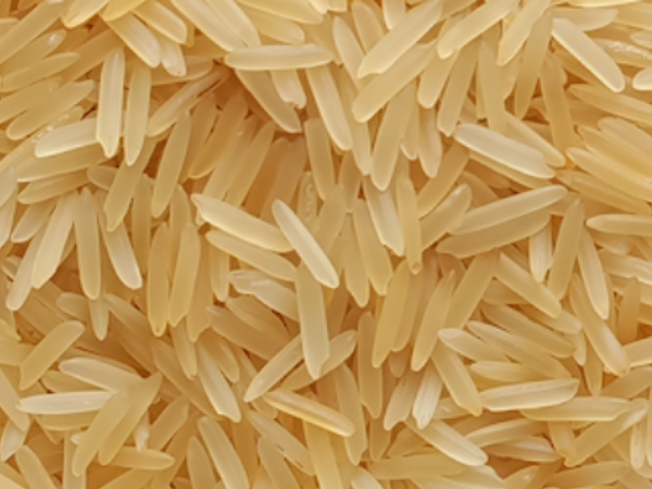 1121 Basmati and Golden Sella Rice Exporter